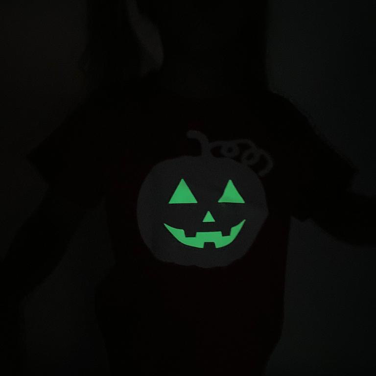Pumpkin glow in the dark kids shortsleeve shirt