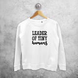 'Leader of tiny humans' sweater