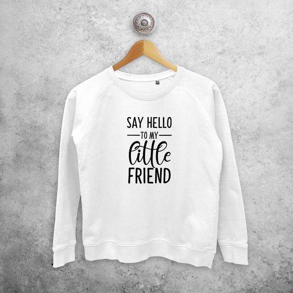 'Say hello to my little friend' sweater